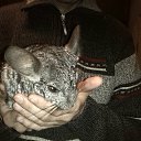 ���� ����, �����, 52 ���� - ��������� 1 ������� 2014 � ������ ���� ����������