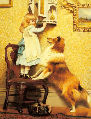 A Little Girl And Her Sheltie /     