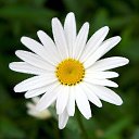 ���� Polina, ���� - ��������� 26 ������� 2014 � ������ ���� ����������