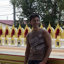 ������, ������, 51 ���