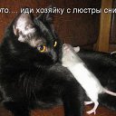 ���� Viktor, ������, 42 ���� - ��������� 18 ������ 2014 � ������ ���� ����������