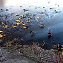 ���� ����, ������, 32 ���� - ��������� 19 ������ 2014 � ������ ������ ��������