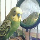 ���� �����, ������, 69 ��� - ��������� 31 ������� 2014 � ������ ���� ������