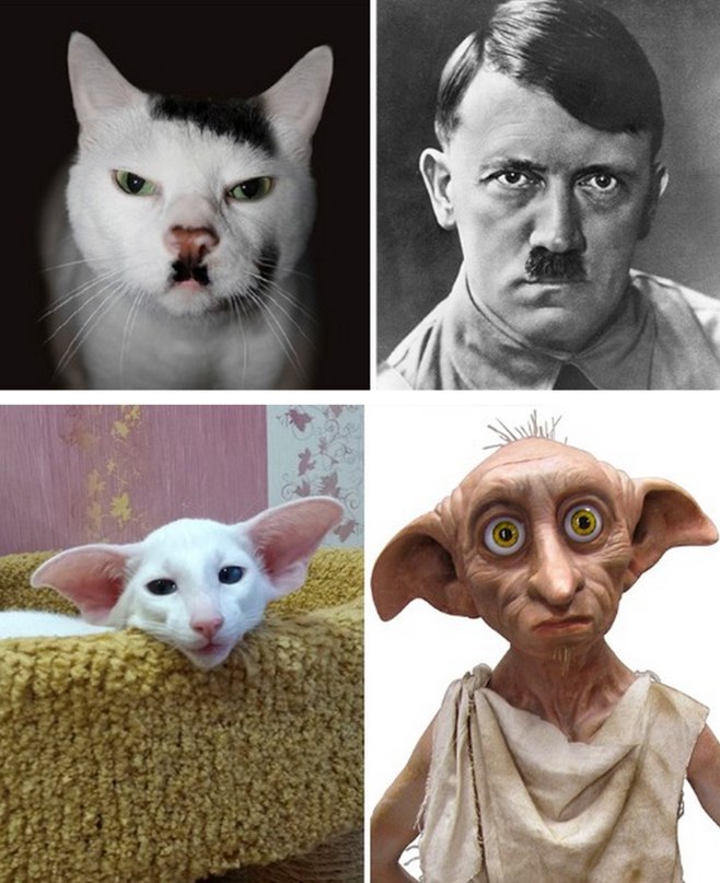,    -  -  - 7