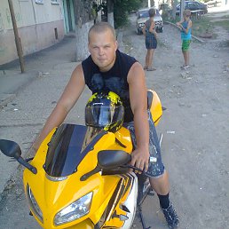 �������, �������, 39 ���