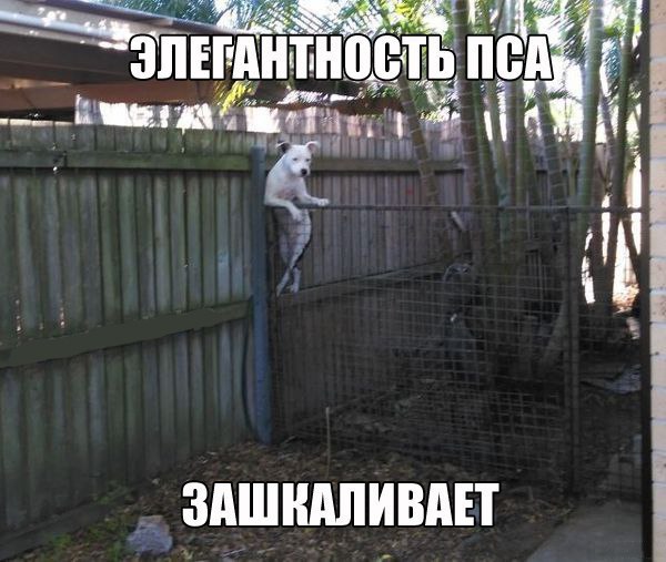 Art & Fun - 1  2014  01:16
