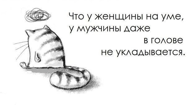 ...,    :)