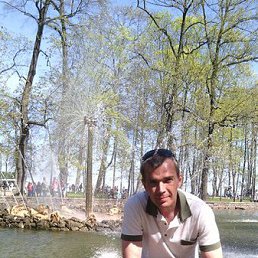 ���� ���������, ����� - ��������� 31 ������� 2014