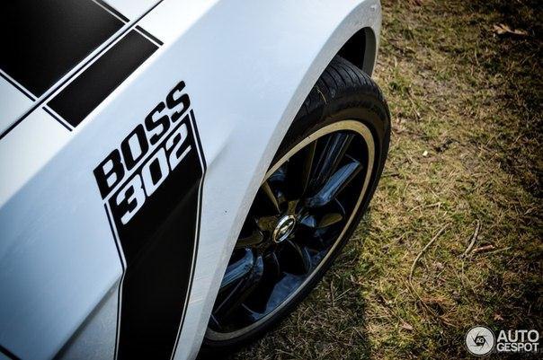 Ford Mustang Boss 302 and Mustang GT 1966. - 5
