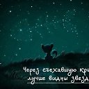  -, -, 53  -  29  2014    