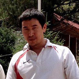 Gans, �����������, 40 ���