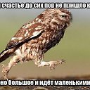 ���� ������, ������� - ��������� 17 ������� 2014 � ������ ������ ��������