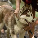 ���� ����, ����������, 46 ��� - ��������� 11 �������� 2014 � ������ ���� ������� ����