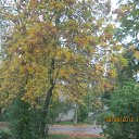 ���� ������, �����-���������, 74 ���� - ��������� 12 ������ 2014 � ������ ������ ��������