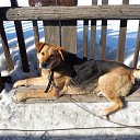 ���� �����, ���, 45 ��� - ��������� 14 ������ 2014 � ������ ������ ������