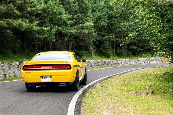 Dodge Challenger SRT8 Yellow Jacket | Nicolas Serre - 7