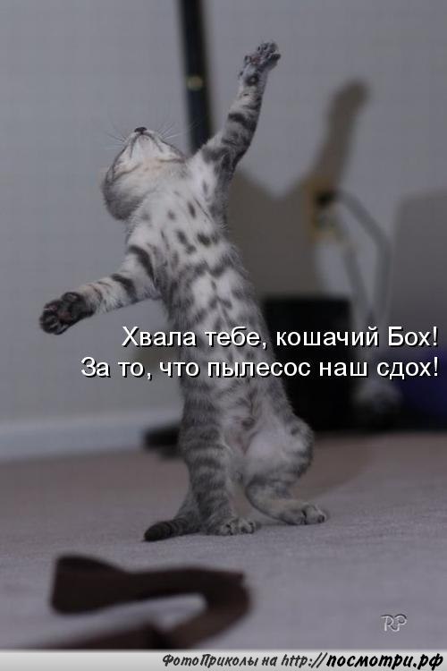       - 19  2015  07:04