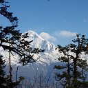 ���� �������, ������, 46 ��� - ��������� 11 ������ 2015 � ������ ������