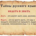  , , 42  -  11  2015   ,  !!!
