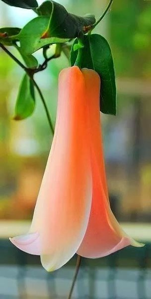 ★    ★ - 19  2015  22:04