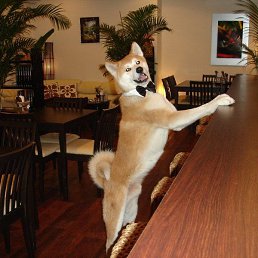 ������, �������, 25 ���