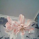 ���� �����, ������� - ��������� 21 ������ 2015 � ������ ���� ����������