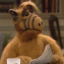 ����, �����-���������, 49 ���