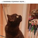 ���� ����)), �������� ������ - ��������� 29 ����� 2015 � ������ ������ ��������