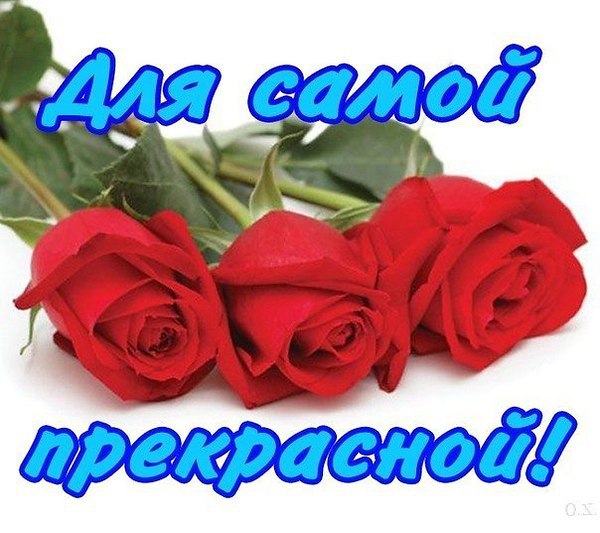 Прелести девушек на дают спокойно работать Прелести девушек на дают спокойно работать