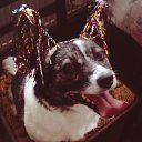 ������-����������� ������ �� ����� �� ������� ������ ��������