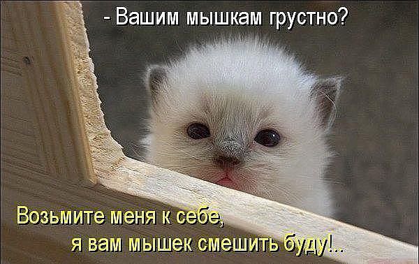     )))