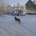  Svetlana, - -  10  2015