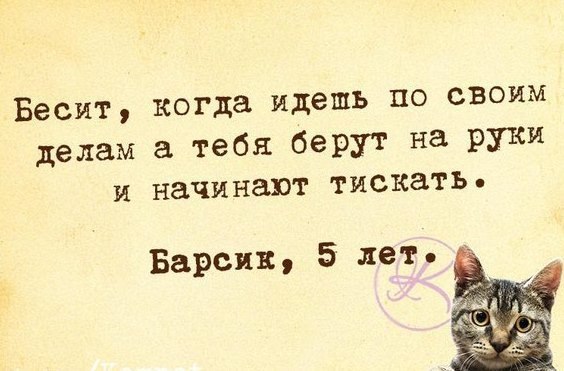 Барсик 5. Идешь по своим делам Барсик. Бесит когда идешь по своим делам а тебя берут на руки. Бесит когда ты кот. Кот Барсик Мем.