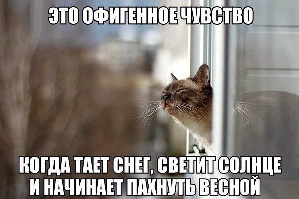       - 2  2015  11:40
