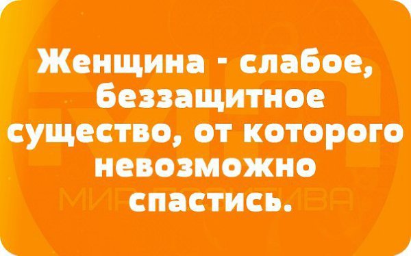 .. - 3  2015  18:19