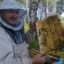 ���� ���������, ����, 60 ��� - ��������� 16 ������� 2015