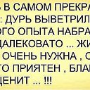 ���� ����, ������ ����� - ��������� 1 ������ 2015 � ������ ������ ��������