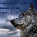 ���� �������, ������, 53 ���� - ��������� 21 ������ 2015 � ������ ������ ��������