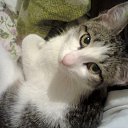 ���� ������, ������, 43 ���� - ��������� 23 ������� 2014 � ������ ���� ����������