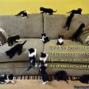  N..., , 47  -  3  2015       )))