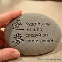  , , 59  -  2  2015    ,  ??        !)