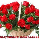 ���� ������, ������� - ��������� 28 ������� 2015 � ������ �������� ��������