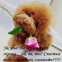 ���� ������, ������ - ��������� 2 ����� 2015 � ������ ���� ����������