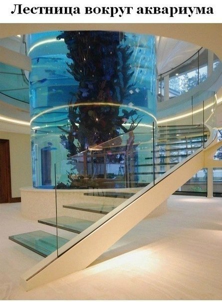 Вещи, которые было бы круто у себя иметь дома: - 4