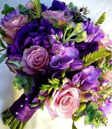   |  |  - 16  2015  09:43