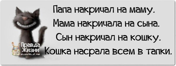 ������ ����� / ���� ! - 5 ������� 2015 � 22:14