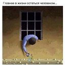 ���� Harut, ������ - ��������� 14 ����� 2015 � ������ ���� ����������