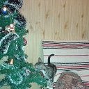 ���� ������, �����-���������, 70 ��� - ��������� 7 ������ 2015 � ������ ��������