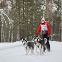 ���� �������, �����, 76 ��� - ��������� 9 ������� 2015 � ������ ������ ��������