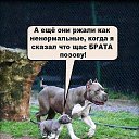 ���� ���������, �����������, 49 ��� - ��������� 24 ����� 2015 � ������ ������ ��������